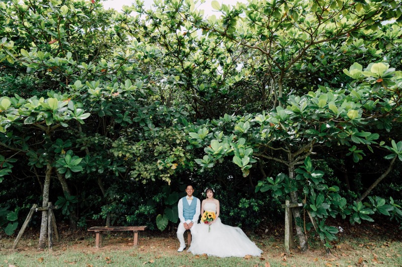 グリーンに囲まれたベンチショット