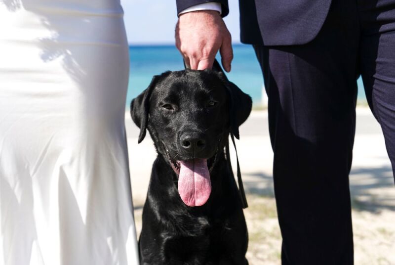 家族やペットちゃんの参加OK