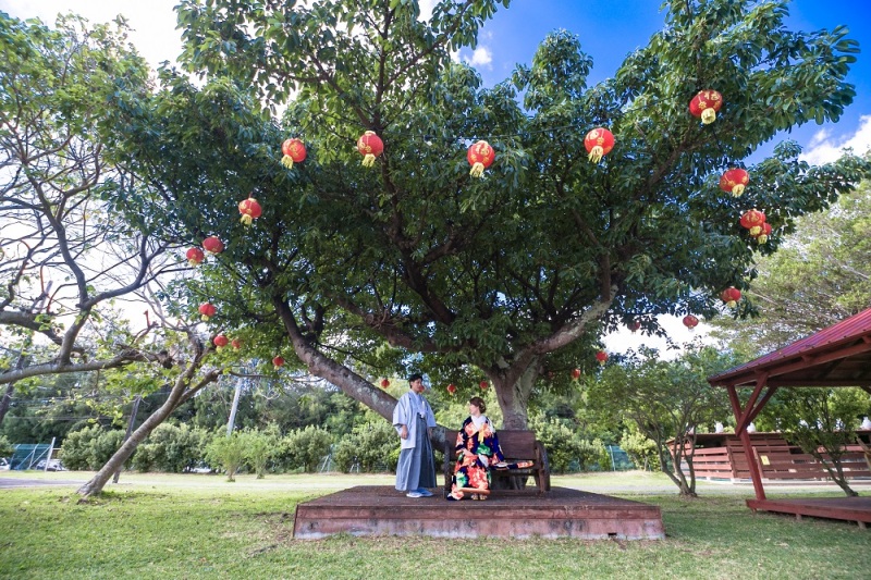 ランタンの木の下で♡