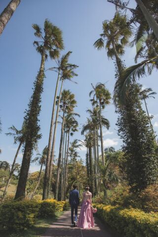 亜熱帯を感じる東南植物楽園で思い出に残るウェディング撮影は？
