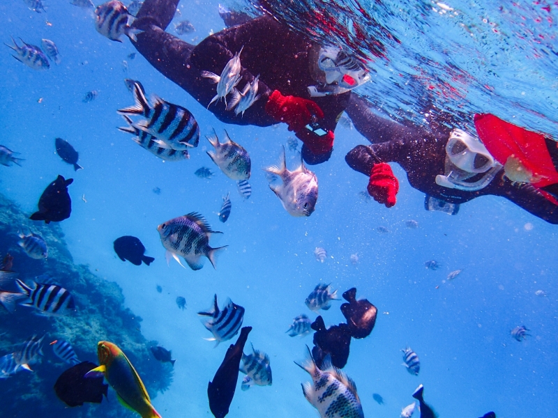 ビーチで撮ったら海中でも撮影
