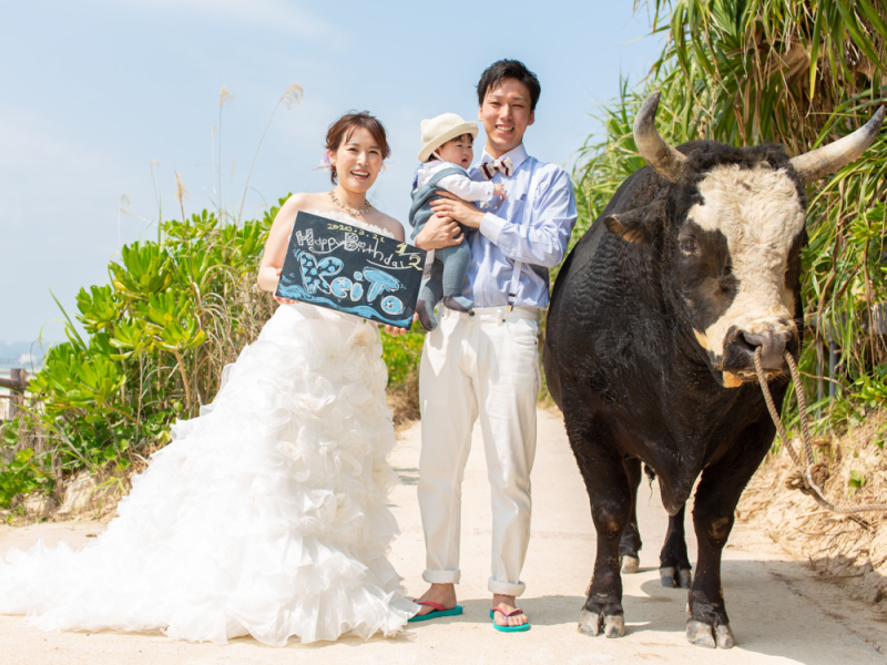 なんと闘牛の散歩に遭遇！一緒に記念撮影