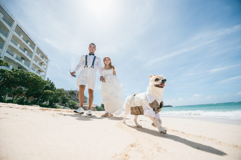 琉球エンターテイメント(琉球ウェディング・studioCASA)_ペットと一緒に撮影できる