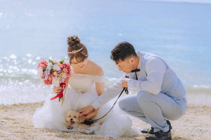 ビーチではしゃぐワンチャンと