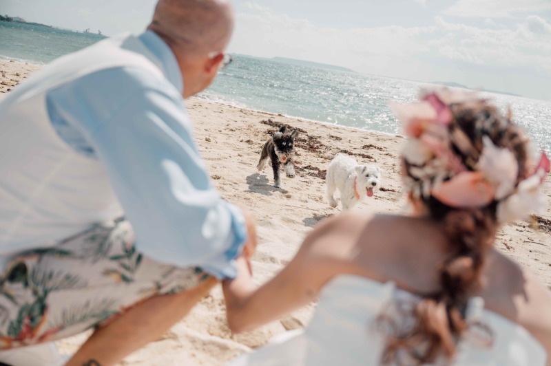 琉球エンターテイメント(琉球ウェディング・studioCASA)_ペットと一緒に撮影できる