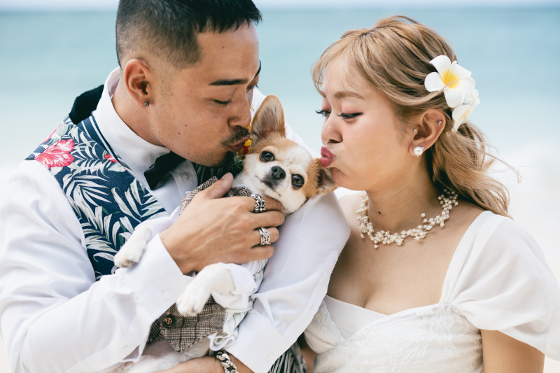 衣装は全てペットもOKです