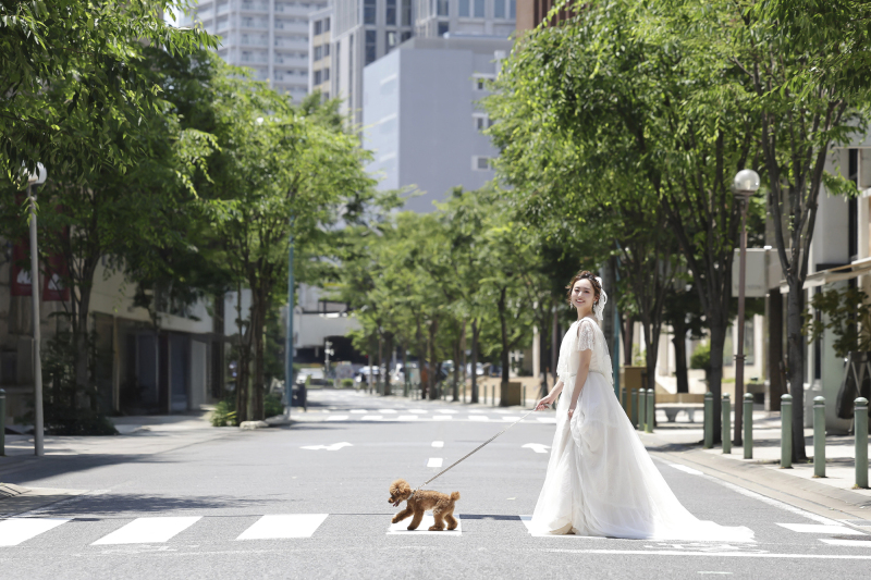 スタジオエミュ