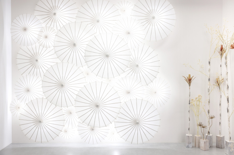 スタジオエミュ_スタジオで撮影できる