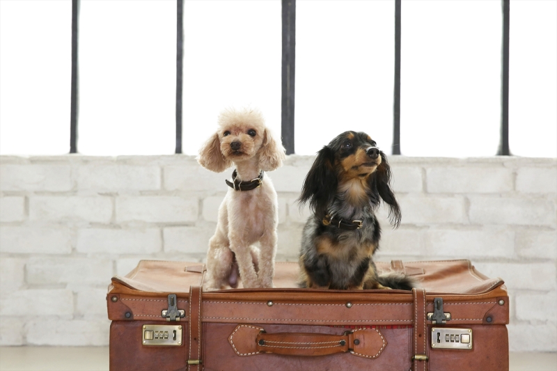 ソロカットも撮影できます