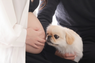 スタジオエミュ