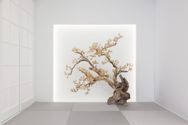 スタジオエミュ_スタジオで撮影できる