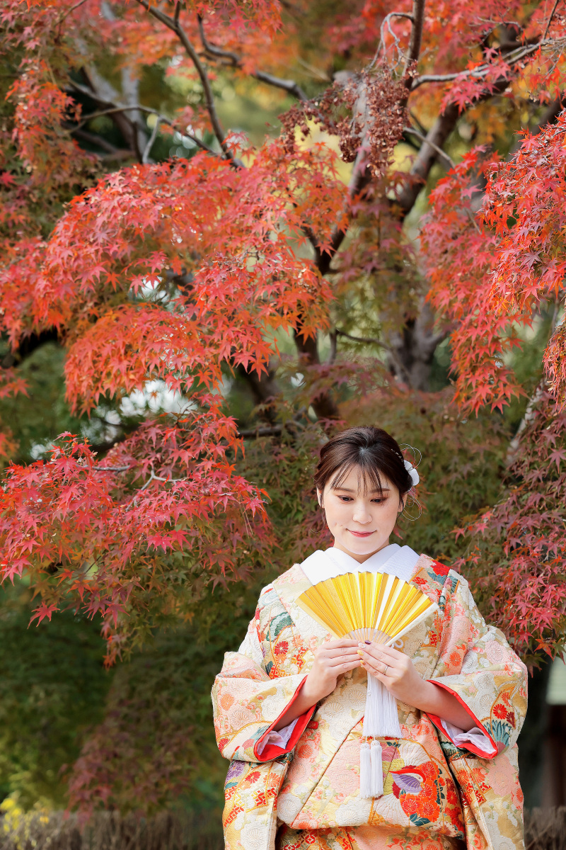 12月の紅葉ロケーション