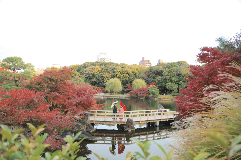 全体的に「赤」