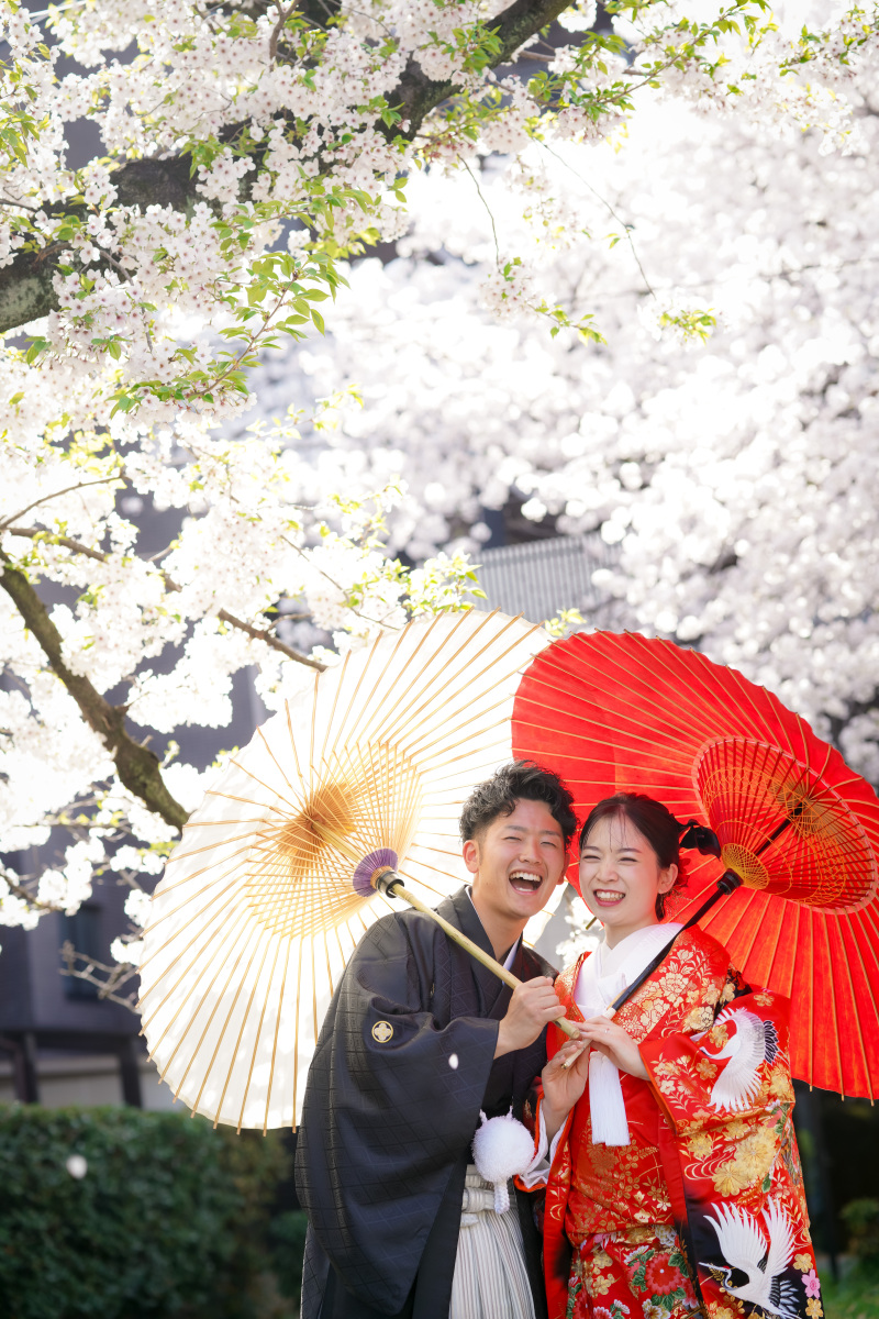 メインの桜