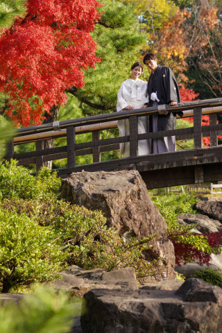 白鳥庭園の紅葉　藤井