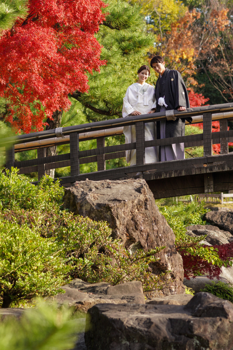 白鳥庭園の紅葉 藤井