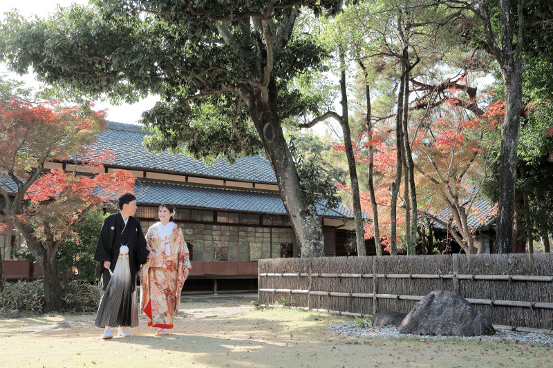 木々に囲まれて