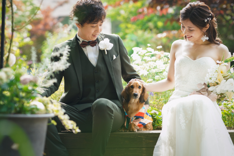 わんちゃんも一緒にご撮影!