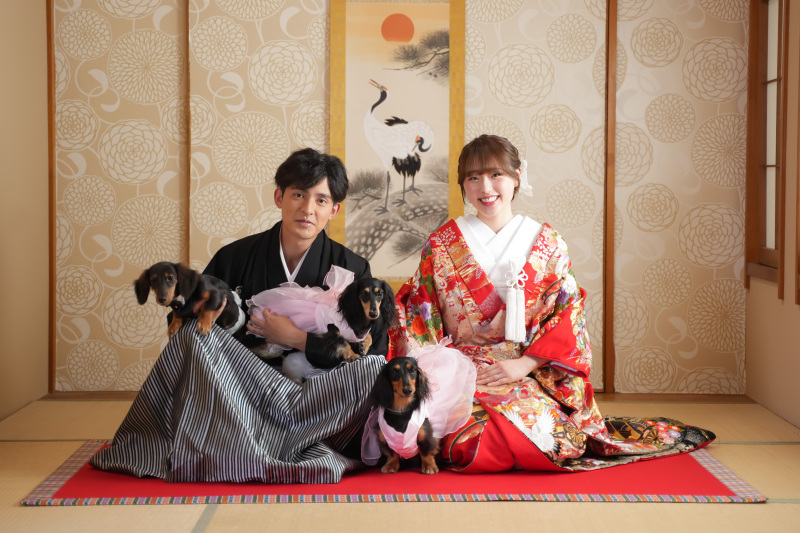 色打掛と愛犬