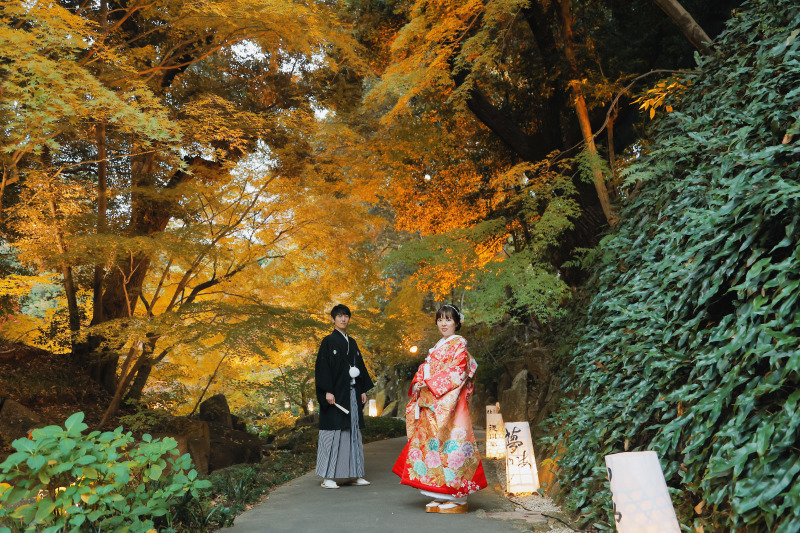 黄色もしっかり