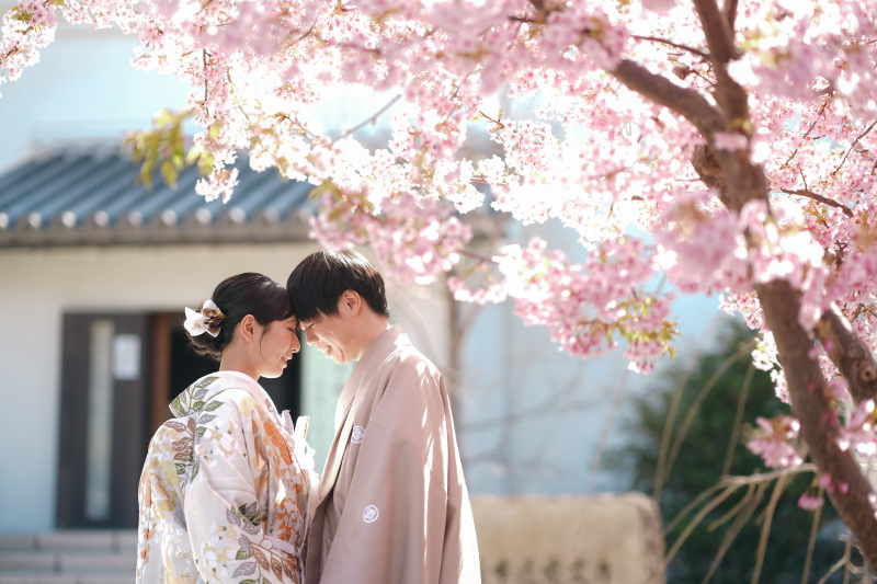 逆光でしっとりと