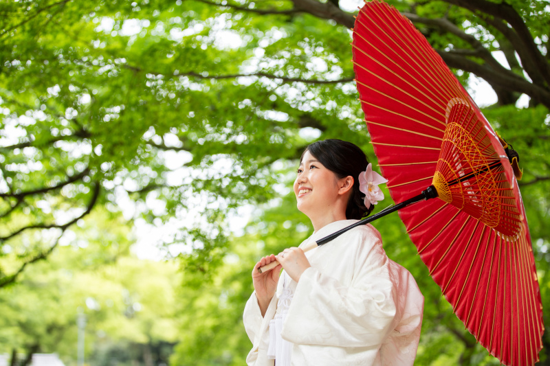 緑豊かな公園