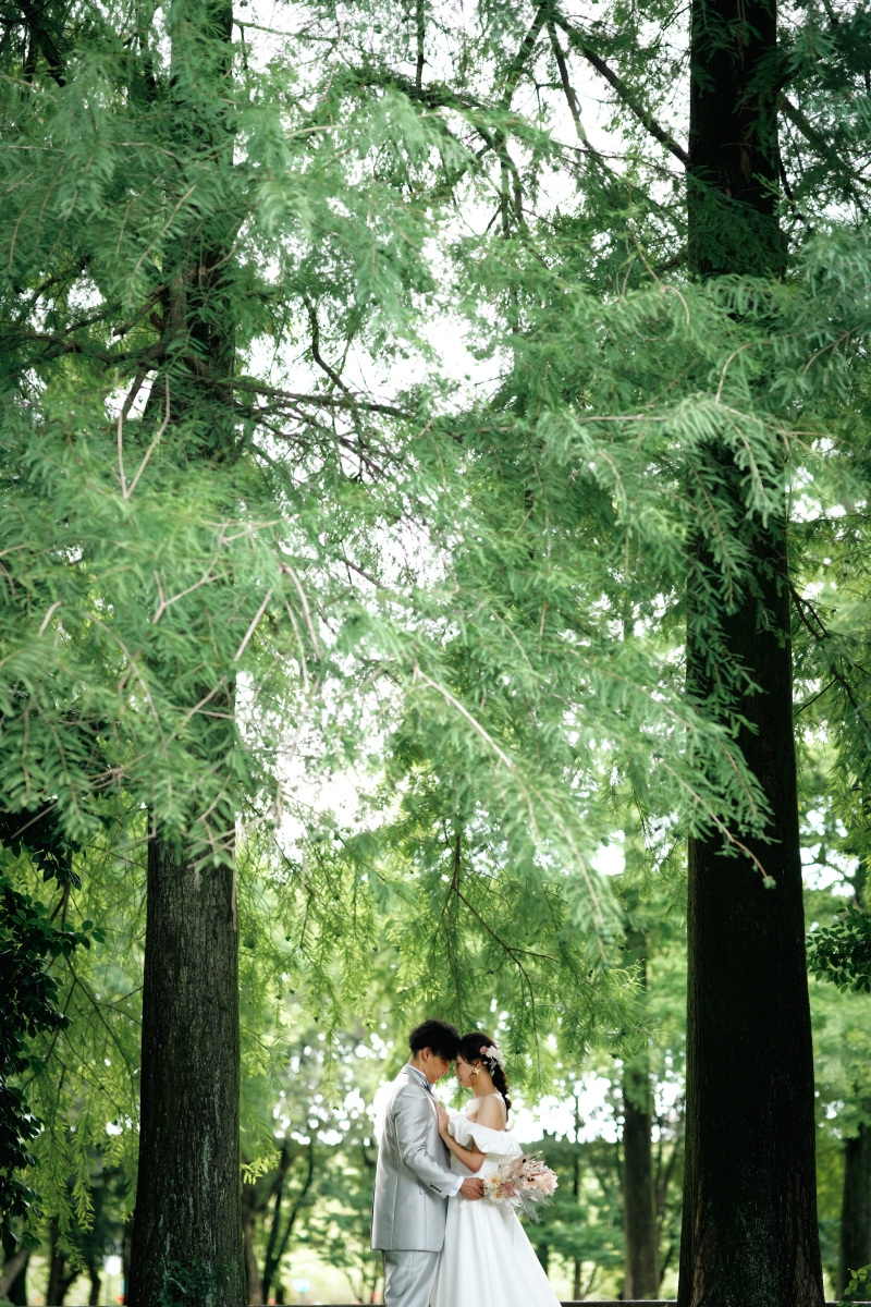 力強く大きな木々のそばで