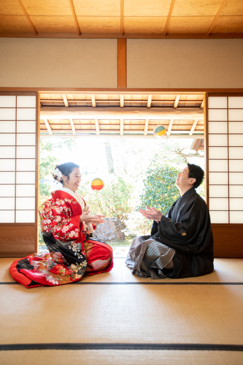 今回のプランは