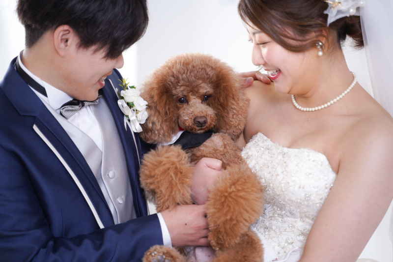 スタジオだけでもたくさん撮れます