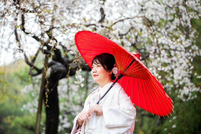 「桜」白鳥庭園+ W