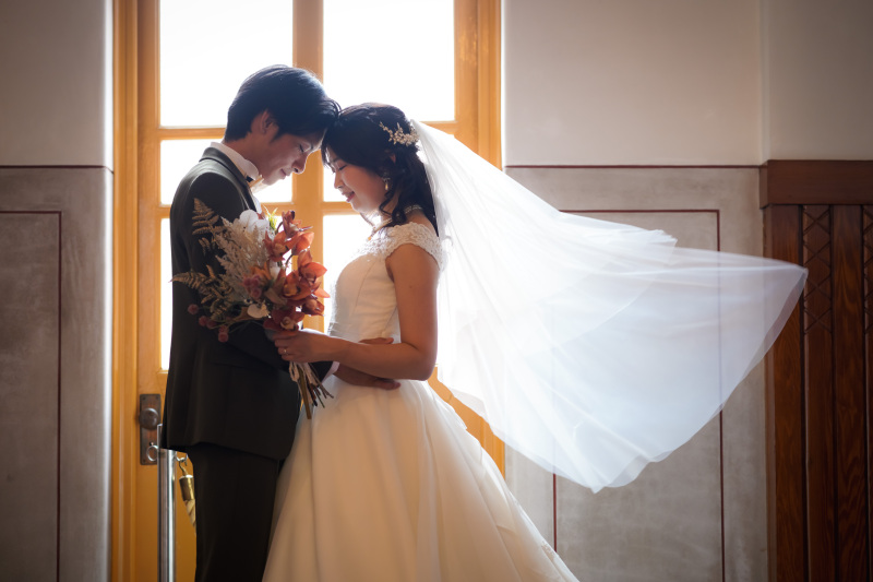 光を取り込んで