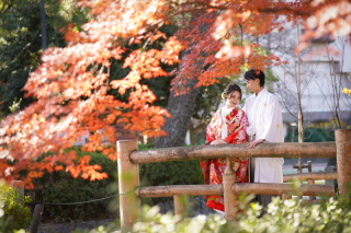 中村公園の紅葉終盤　藤井