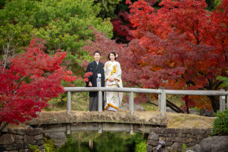 12月5日の白鳥庭園　脇田