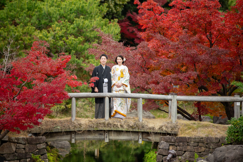 12月5日の白鳥庭園　脇田