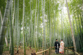 雨の日の白鳥庭園
