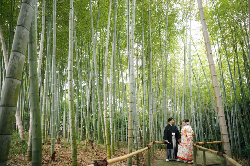 雨の日の白鳥庭園