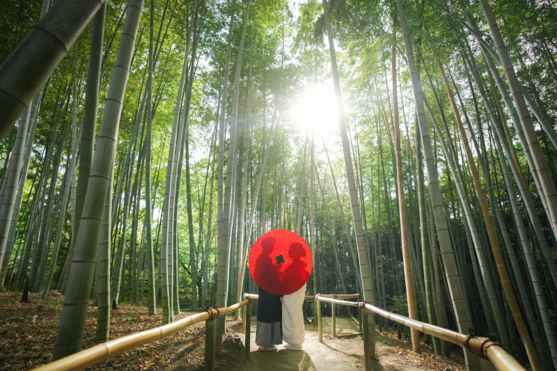 番傘もあります