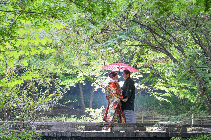 美しいというのはこういうこと