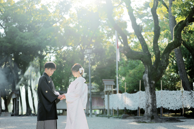 太陽の光を生かして