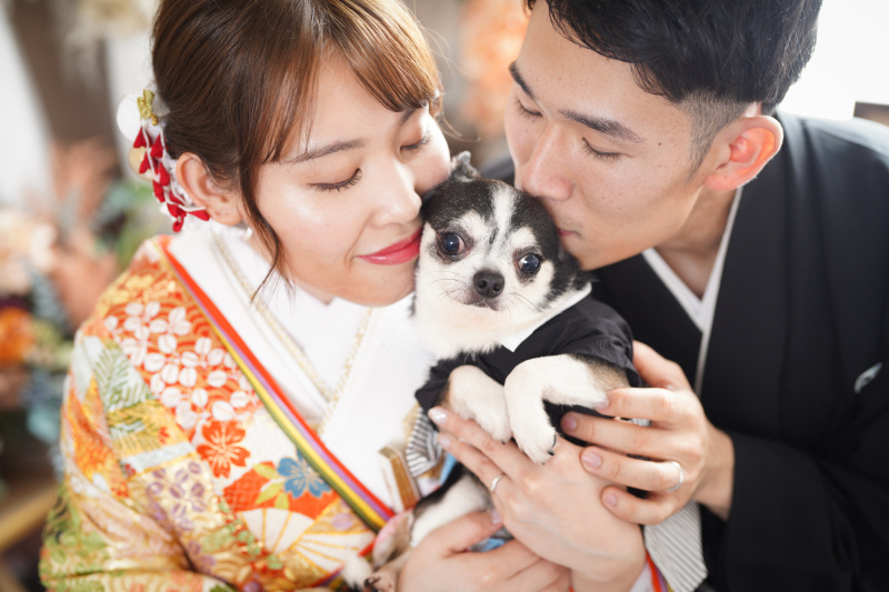 ペットと一緒に