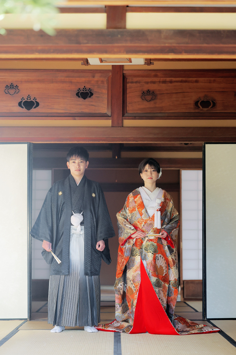 綺麗なたvひぽーず