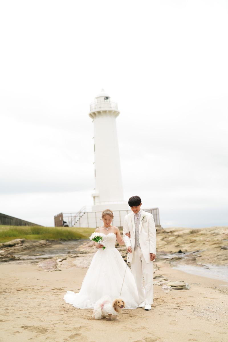 愛犬とのお散歩シーン