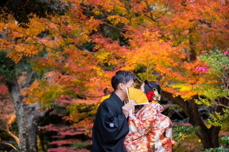 徳川園とスタジオのコンビプラン