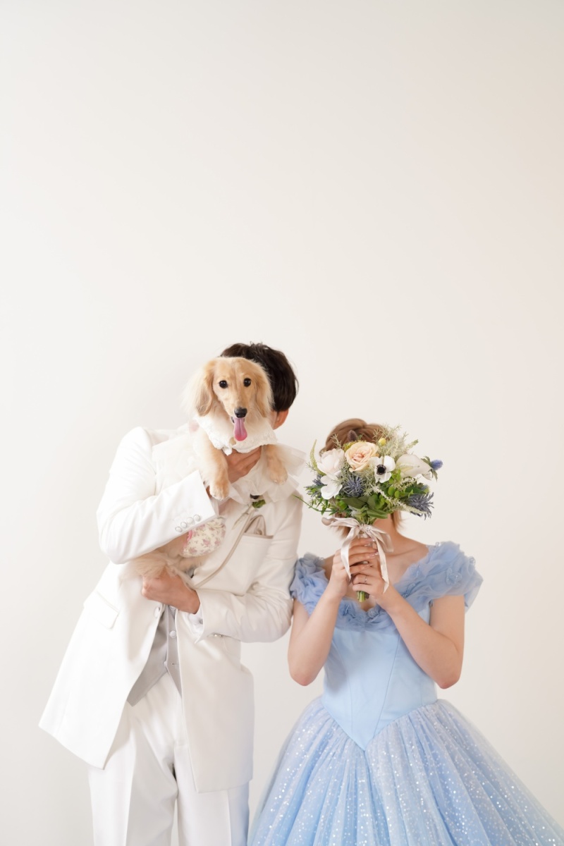 ペットとウエディングフォト.✴︎