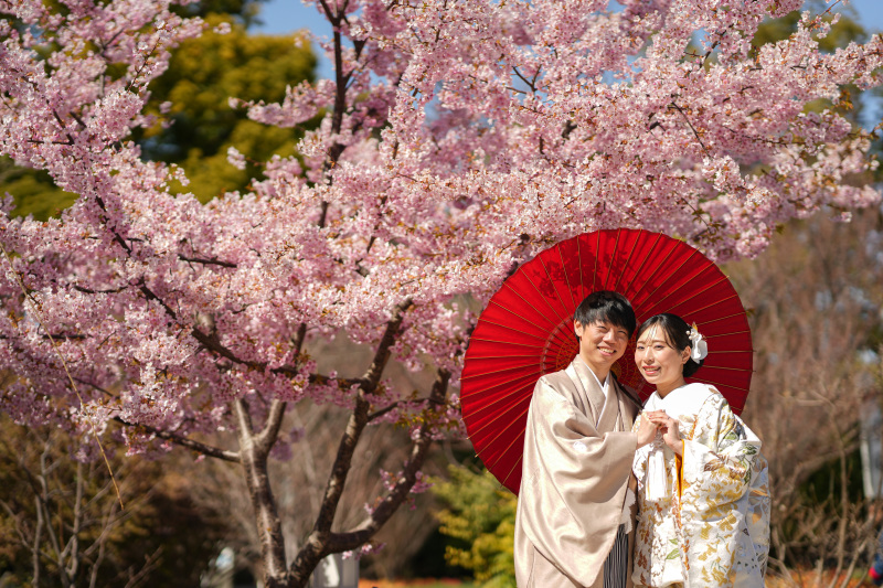 桜が咲いていました！