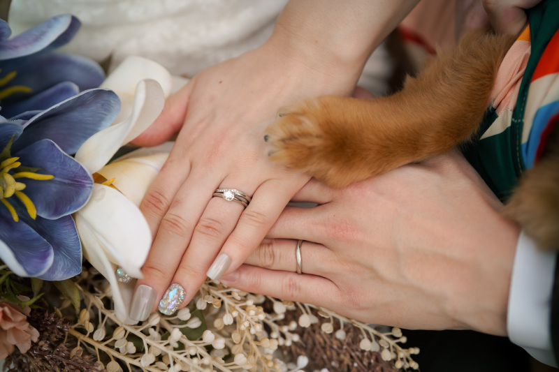 ペット撮影の可否はスタッフが確認いたします◎