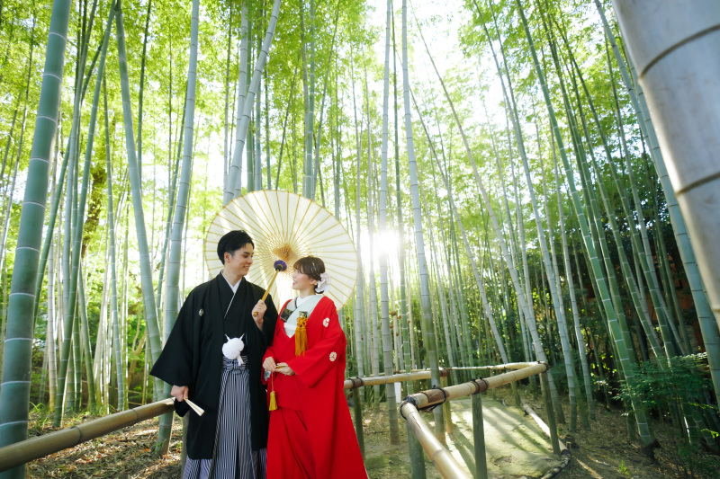 目にするものすべてが美しい白鳥庭園