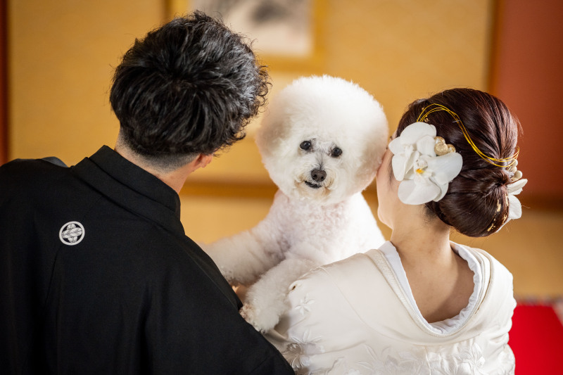 和装、洋装お好きな衣装でご撮影できます！