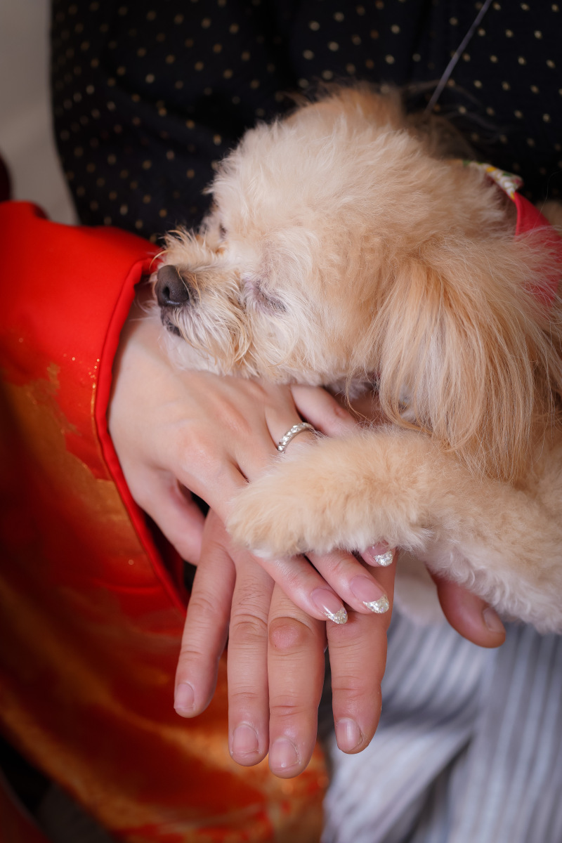 名古屋フォトスタジオcarpediem（カルぺディエム）_ペットと一緒に撮影できる