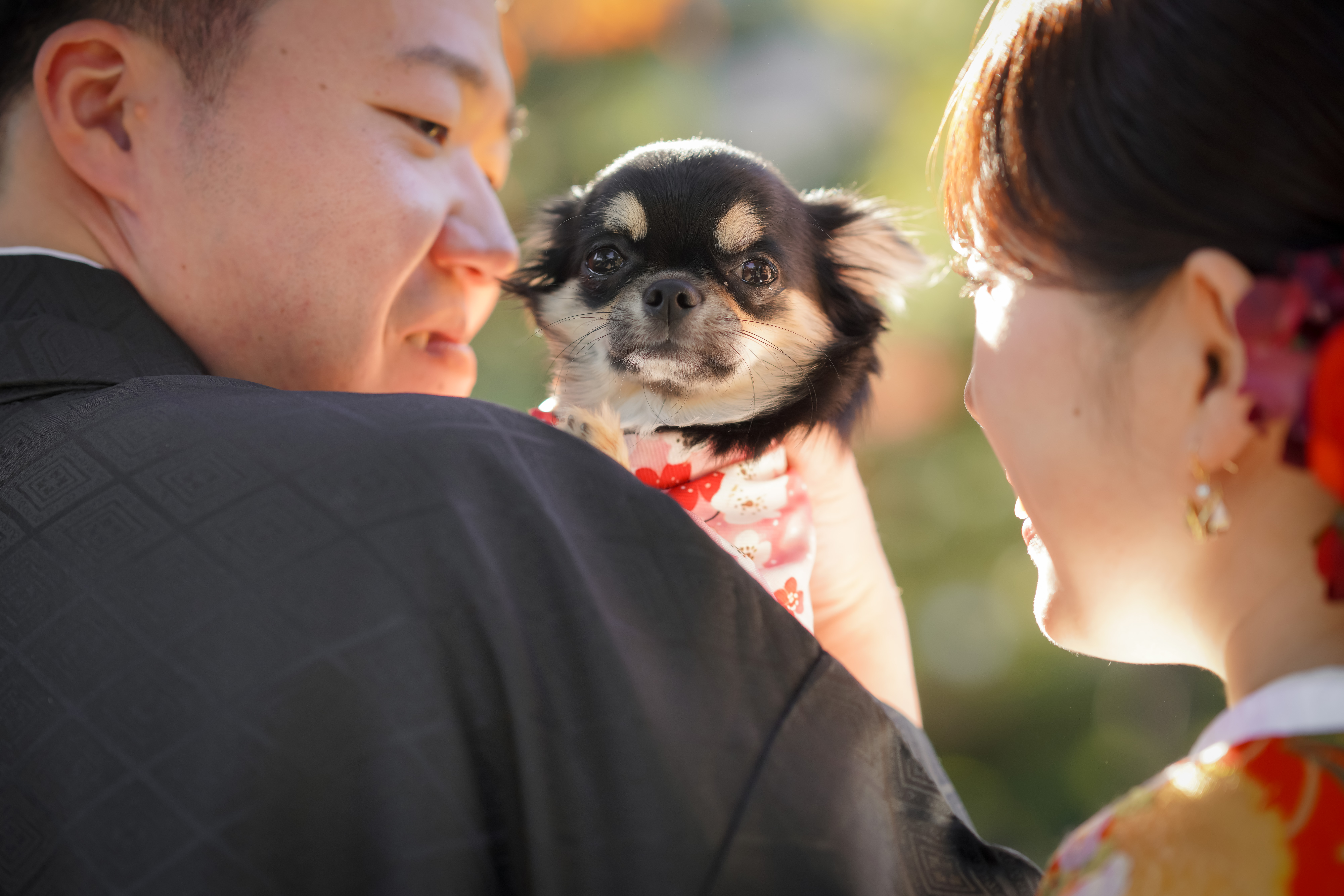 20以上ある撮影シーン